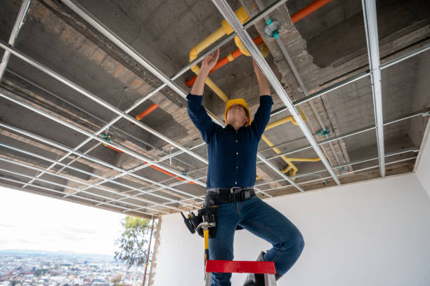 Best Leak Detection Services  in Ben Bolt, TX